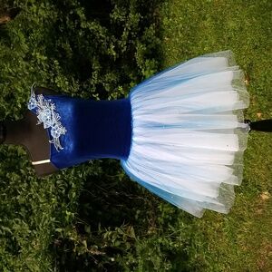 Royal Blue and White Ballet costume